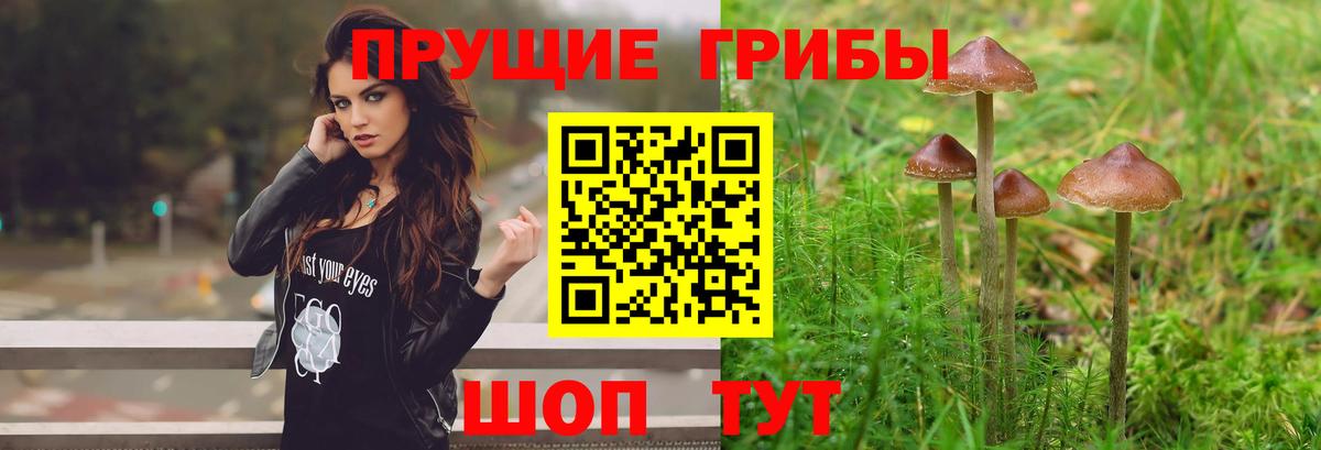 Галлюциногенные грибы прущие грибы Анапа